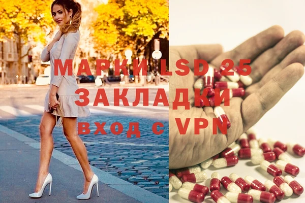 индика Аркадак