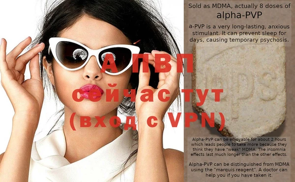 индика Аркадак