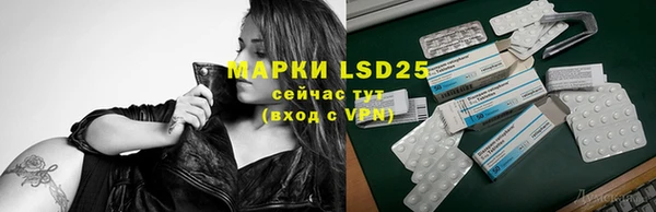 ПСИЛОЦИБИНОВЫЕ ГРИБЫ Армянск