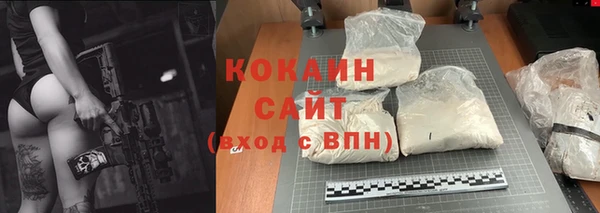 индика Арсеньев