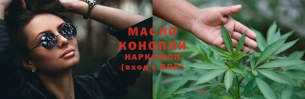 индика Аркадак
