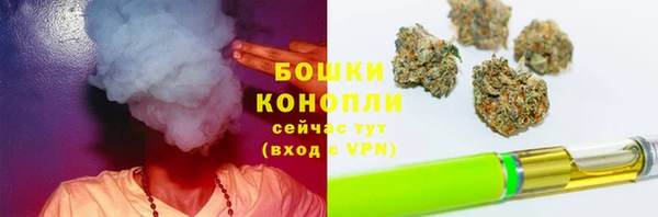 ПСИЛОЦИБИНОВЫЕ ГРИБЫ Армянск