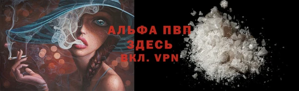 индика Арсеньев