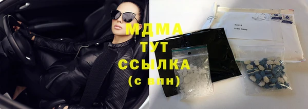 индика Арсеньев