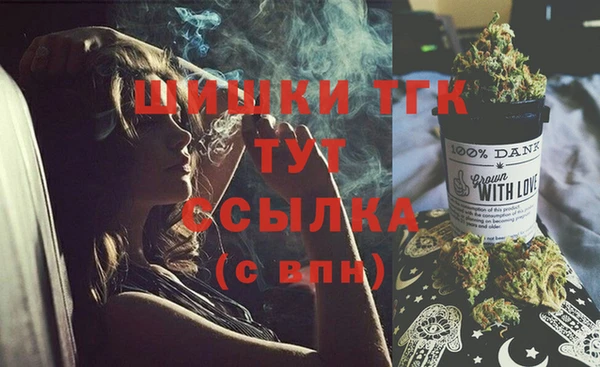 индика Аркадак