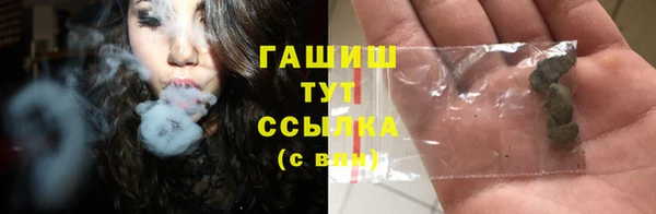 индика Арсеньев