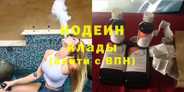 индика Арсеньев