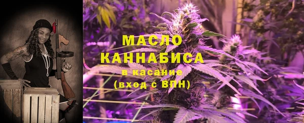 индика Арсеньев