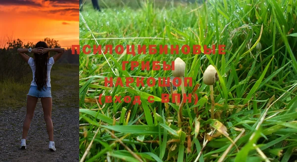 индика Аркадак