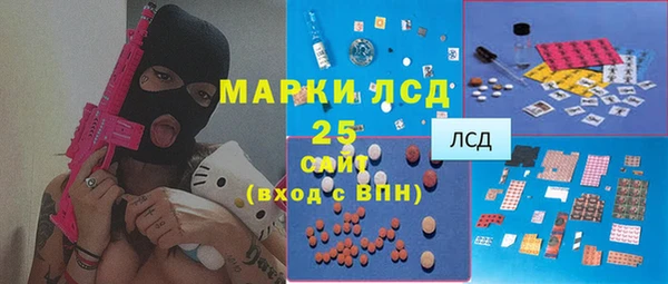 индика Арсеньев
