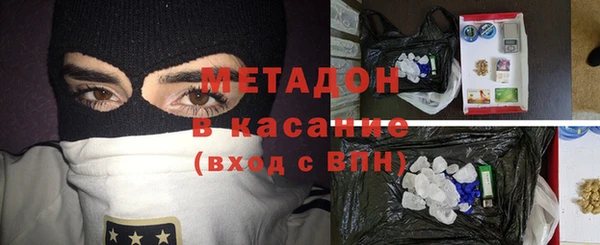 индика Арсеньев