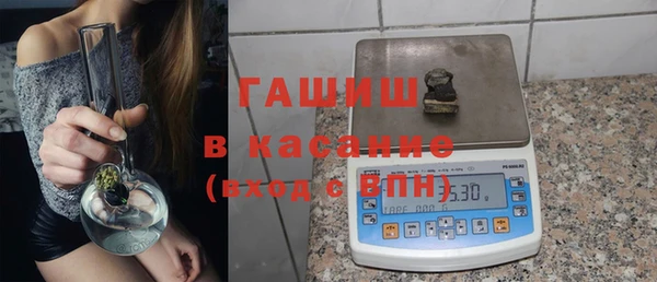 индика Арсеньев